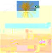 PH-1 便攜式風(fēng)速風(fēng)向儀