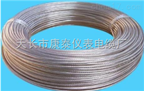 AFRP-250 AFPF高溫電纜線