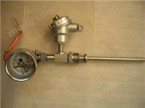 WSS-581PH2遠(yuǎn)傳溫度計(jì)