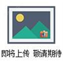 MSAF070N，意大利seko機(jī)械隔膜計(jì)量泵