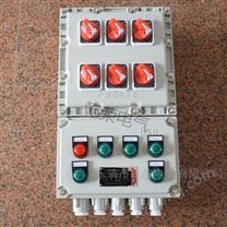 粉碎設(shè)備非標防爆配電箱